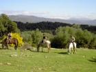 Andalusien Reiterhof