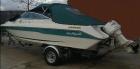 Motorboot Sea Ray 200 CC mit 1 8 t Trailer