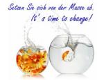 Steig ein ins Erfolgsteam - JOIN THE SAMOA-GROUP