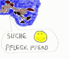 SUCHE PFLEGEPFERD IN VORARLBERG D