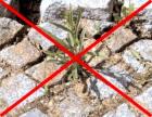 Selbständige sicher Existenz als Dienstleister im Gartenbereich