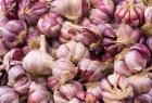 Violetter Knoblauch aus Las Pedro eras