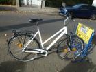 104 8 Gang Rücktrittsbremse 28 Zoll tiefer Einstieg Rh 56