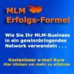 389 kostenlose Interessenten in 7 Tagen für Ihr Network