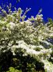 Seriöse Alltagsbegleitung für Mensch und Tier