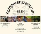 Pferdefütterung Teil 1 2 und 3 in einem Online Kurs