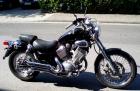 XV 535 Virago - XV535 - TÜV NEU - 24tkm 46 PS