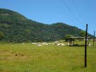 Estancia Jose Fassardi Departamento Guaria Paraguay Südamerika