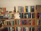 1 Posten ca 700 Bücher gebraucht und neu wegen Umzug zu verschenken