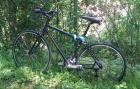Kona Citybike 2 Monate alt