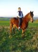 Suche RB im raum bad kreuznach