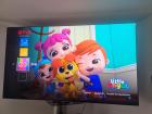 LG G2 EVO 65 zoll OLED Fernseher