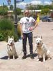 Hundetraining Einzeltraining für den schnellen Erfolg