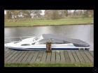 Motorboot Bayliner mit OMC 5 0 Liter V8 Cobra Moto