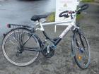 37 27 Gang 28 Zoll Rh 50 CYCO Gabel u Sattel gefedert mit Nabendynamo
