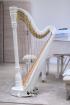 Harfe Resonance Harps Profi Harfe Doppelpedalharfe