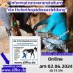 Werde Huforthopäde in - modern zukunftssicher spannend