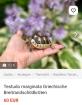 Testudo marginata Breitrandschildkröten