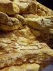 Terrarium backgrounds