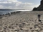 Fehmarn Wulfener Hals 10. -24. 7. 21