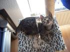 Kater Jameson geboren am 6. 03. 2022