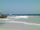 Kenia Safaris und Badeurlaub in Diani Beach