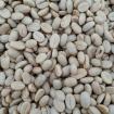 100 Arabica Rohkaffee Kaffeebohnen Bio Grüner Kaffee ungeröstet Ernte 2022 Coff