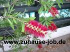 Selbst. Nebenjob von zuhause aus