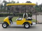 PM-2 2 Elektro Golf Cart Golfcar für 4 Personen