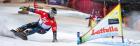 Visa FIS Snowboard Alpine Weltcup