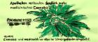 POLITNIK 1189 Cannabis 15 . 09. 16 Original Meierhof