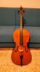 3/4 Violoncello Koffer Bogen - spielbereit mit Gutachten