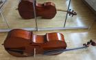 Cello mit Fall ca. 100 Jahre alt