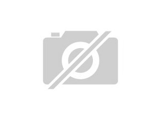 Ich suche Graupapagei Pärchen