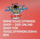 Vogelspinnen. Shop