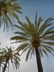 Als ReiseClub Promoter online/offline 450Euro/1500Euro/3000Euro u. mehr mtl. verdienen